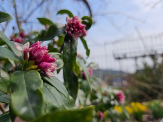 경희아짐님의 자유주제 · 자유게시판 작성글 사진