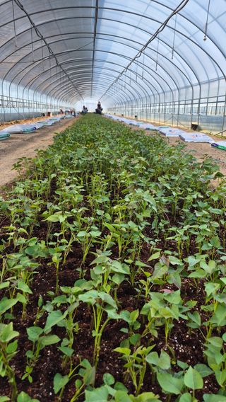 김동수님의 자유주제 · 자유게시판 작성글 사진