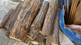 정석구님의 자유주제 · 자유게시판 작성글 사진