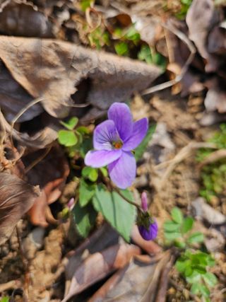 경희아짐님의 자유주제 · 자유게시판 작성글 사진