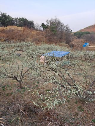 정백영님의 자유주제 · 자유게시판 작성글 사진