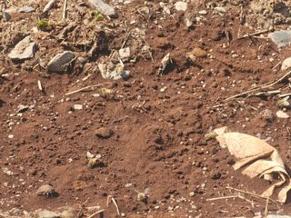 farmer님의 자유주제 · 자유게시판 작성글 사진