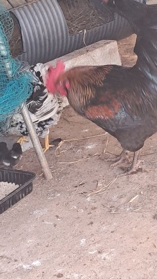 bpjh9173님의 자유주제 · 자유게시판 작성글 사진