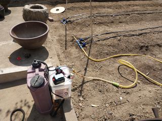 쏘쏘함님의 자유주제 · 자유게시판 작성글 사진