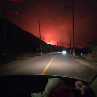 향기나무농장 님의 자유주제 · 자유게시판 작성글 사진