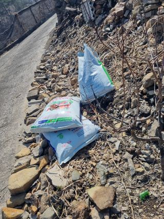 김용대님의 자유주제 · 자유게시판 작성글 사진