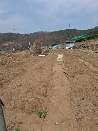 김한일(유랑자)님의 자유주제 · 자유게시판 작성글 사진