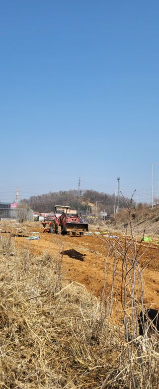 장경화님의 자유주제 · 자유게시판 작성글 사진
