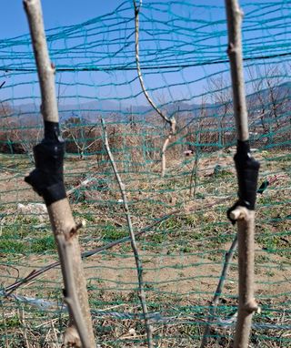 철남 김희곤님의 자유주제 · 자유게시판 작성글 사진