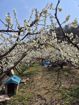 팜모닝 · 게시글 이미지