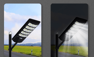 다이쏘(권자영)님의 작성글 사진