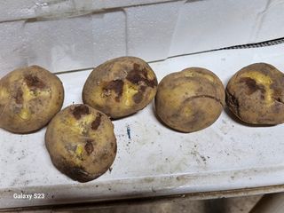 손윤영/수채화농원님의 자유주제 · 자유게시판 작성글 사진