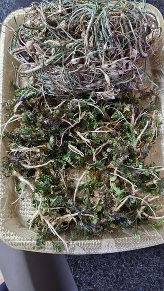 정석구님의 자유주제 · 자유게시판 작성글 사진