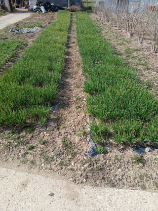 김상선님의 작성글 사진