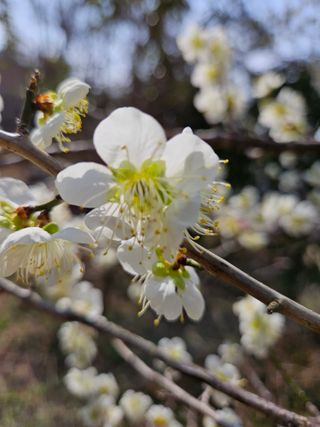 경희아짐님의 자유주제 · 자유게시판 작성글 사진