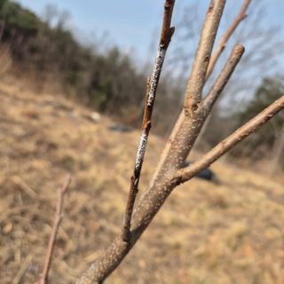 우명구님의 자유주제 · 자유게시판 작성글 사진