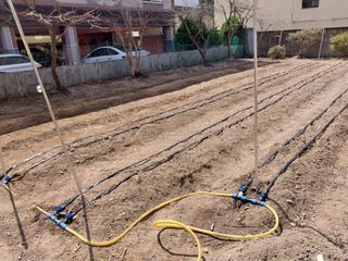 쏘쏘함님의 자유주제 · 자유게시판 작성글 사진