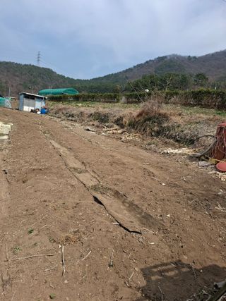 김한일(유랑자)님의 자유주제 · 자유게시판 작성글 사진