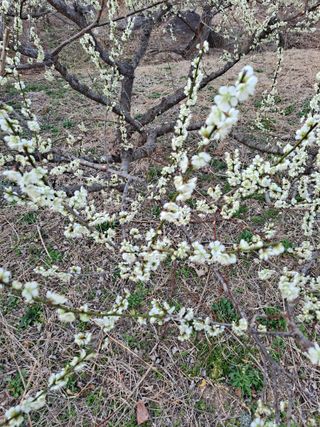 정백영님의 자유주제 · 자유게시판 작성글 사진