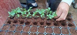 이.일신.꽃분아빠님의 자유주제 · 자유게시판 작성글 사진