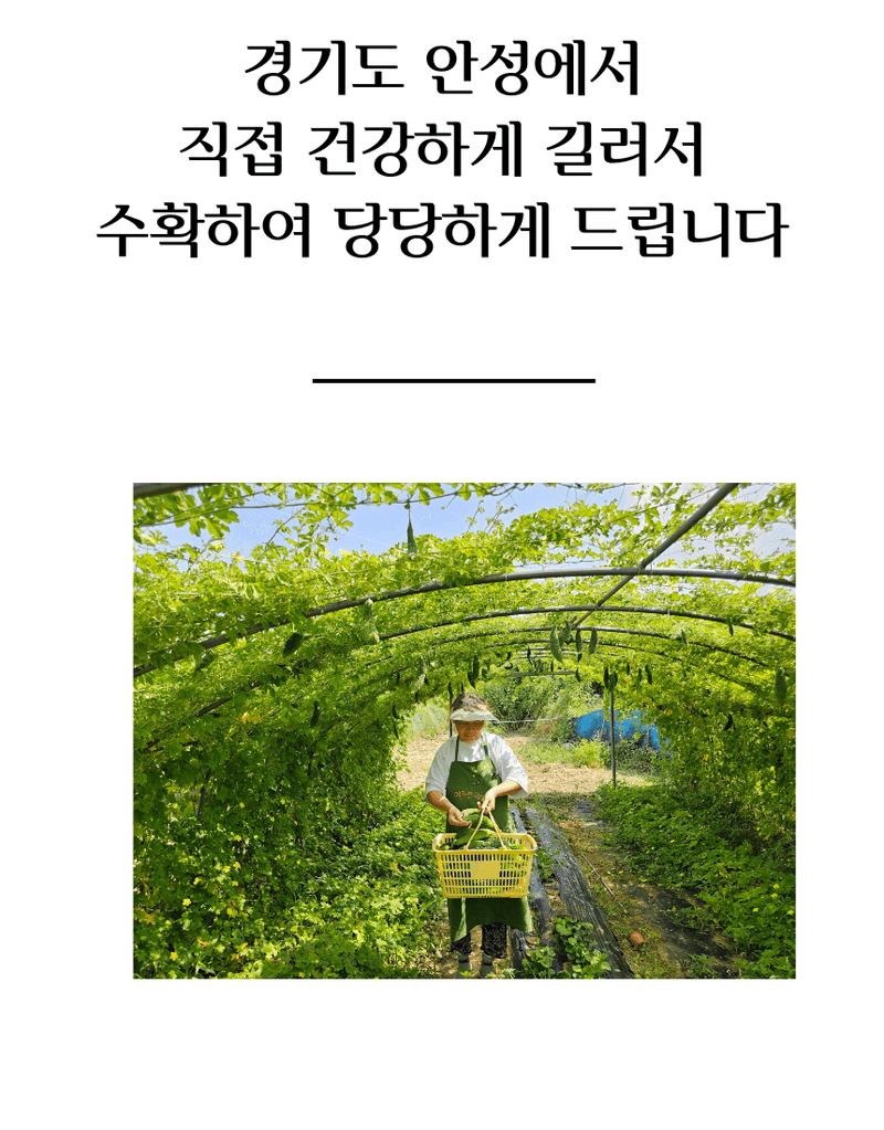 건행농원님의 장터 판매 상품 [여주환200g(건행농원)] 첨부 사진