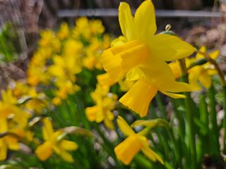 경희아짐님의 자유주제 · 자유게시판 작성글 사진