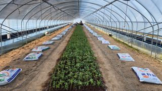 김동수님의 자유주제 · 자유게시판 작성글 사진