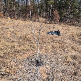 우명구님의 자유주제 · 자유게시판 작성글 사진