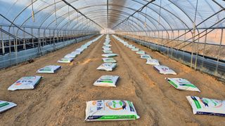 김동수님의 자유주제 · 자유게시판 작성글 사진