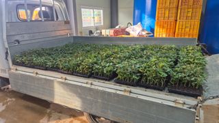 김동수님의 자유주제 · 자유게시판 작성글 사진