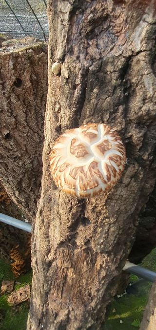 한밭농원님의 자유주제 · 자유게시판 작성글 사진