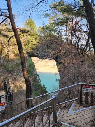 밀양달콤팜님의 자유주제 · 자유게시판 작성글 사진