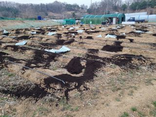 들꽃농장님의 자유주제 · 자유게시판 작성글 사진