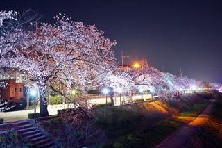 국중선님의 자유주제 · 자유게시판 작성글 사진