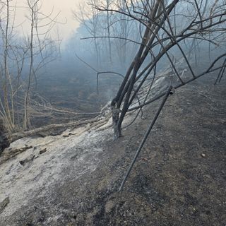 향기나무농장 님의 자유주제 · 자유게시판 작성글 사진