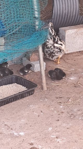 bpjh9173님의 자유주제 · 자유게시판 작성글 사진