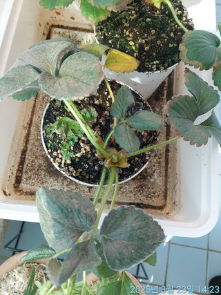 황대헌님의 자유주제 · 자유게시판 작성글 사진