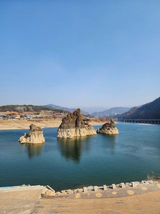 밀양달콤팜님의 자유주제 · 자유게시판 작성글 사진