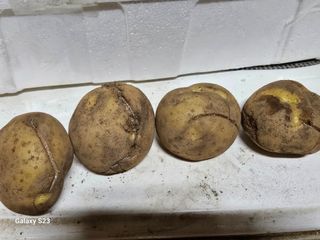 손윤영/수채화농원님의 자유주제 · 자유게시판 작성글 사진