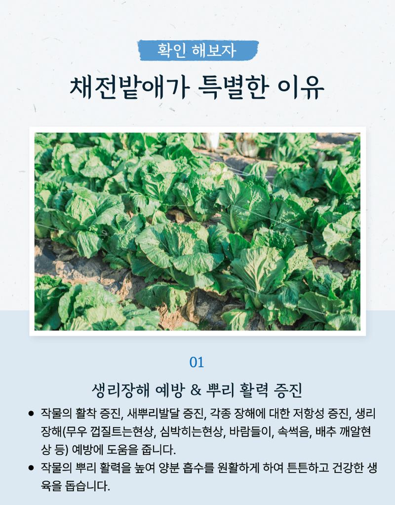 농업마켓365님의 장터 판매 상품 [농업마켓365 융전 채전밭애 입제 1kg 생리장해 배추 무우 추비 붕소 붕사 비료 생리장해 김장채소 미량요소 ] 첨부 사진