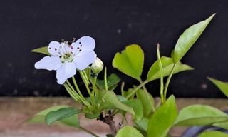 이정운님의 자유주제 · 자유게시판 작성글 사진