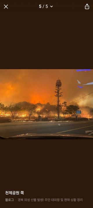 이시형님의 자유주제 · 자유게시판 작성글 사진