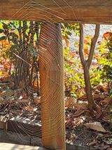 팜모닝 자유주제·사진전 게시글 이미지