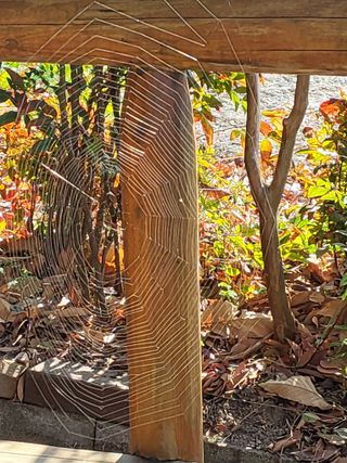 식만동 복합영농님의 자유주제 · 사진전 작성글 사진