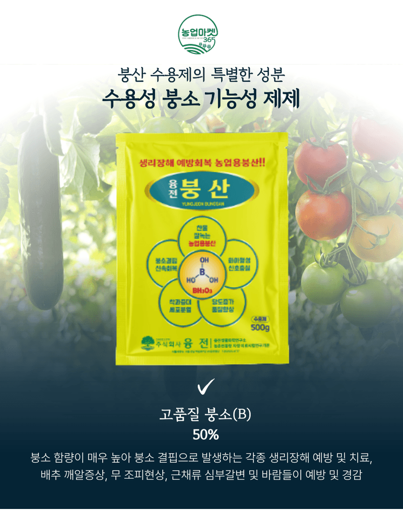 농업마켓365님의 장터 판매 상품 [농업마켓365 융전 붕산 수용제 500g 배추 무우 붕소 생리장해 갓 양배추 감자 고구마 마늘 바람들이 미량요소] 첨부 사진