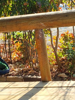 식만동 복합영농님의 자유주제 · 사진전 작성글 사진