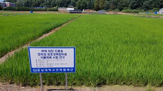 엔피코뉴스님의 자유주제 · 자유게시판 작성글 사진