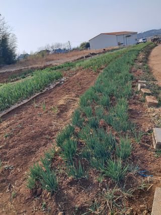 김기한님의 자유주제 · 자유게시판 작성글 사진