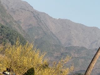 이현상홍길동건강즙님의 자유주제 · 자유게시판 작성글 사진