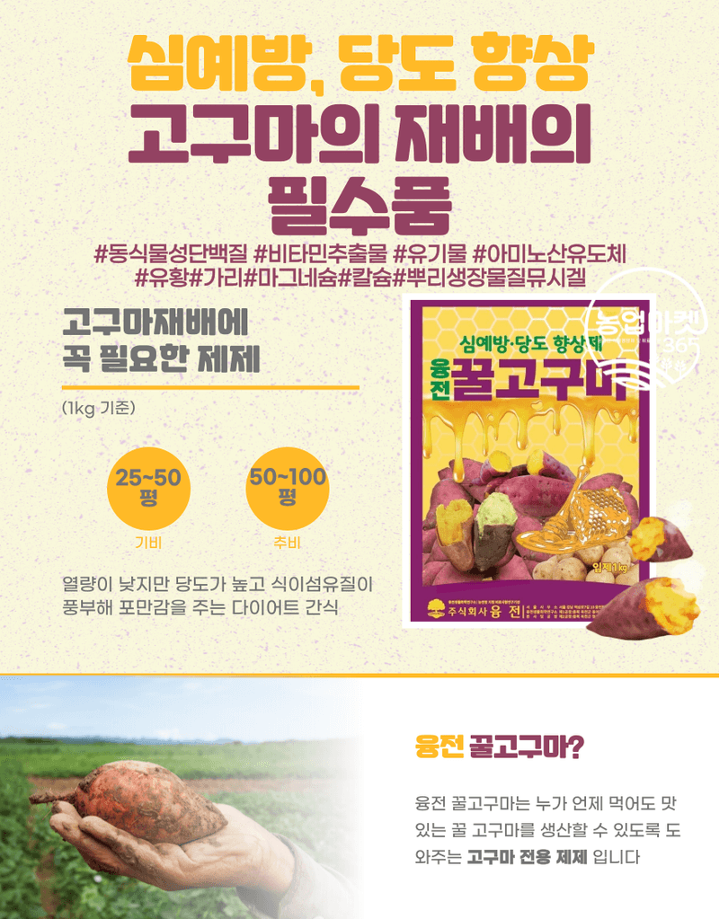농업마켓365님의 장터 판매 상품 [농업마켓365 융전 꿀고구마 입제 1kg 비료 황 아미노산 구근 크기 맛 당도 색상 가리 마그네슘 칼슘 기비 밑거름] 첨부 사진
